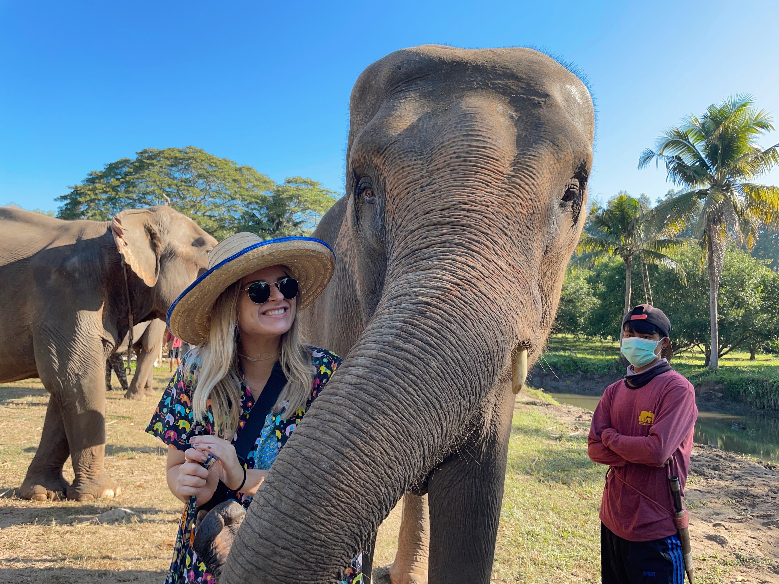 Hanging with elephants in Chiang Mai! 