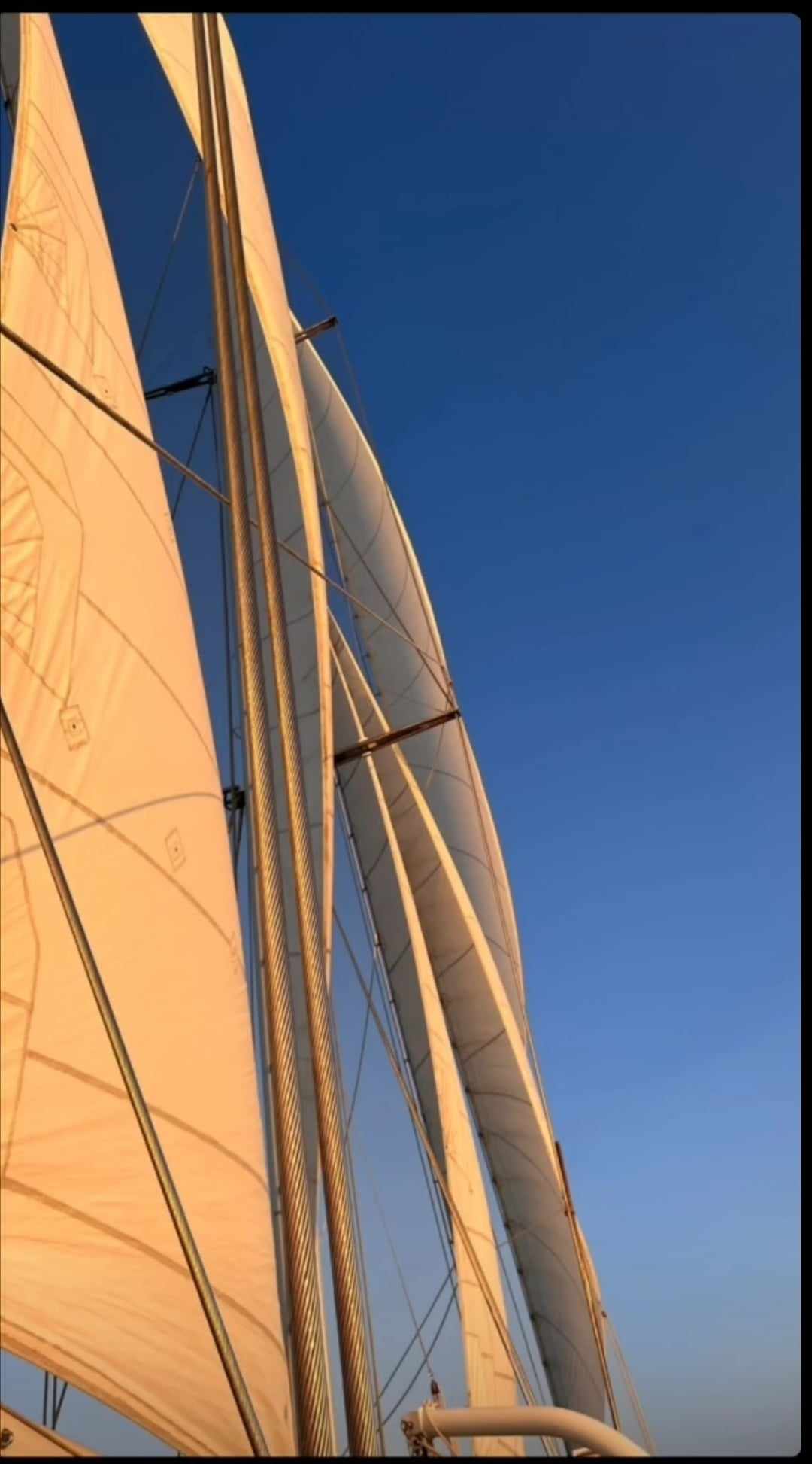 All the 6 sails up!