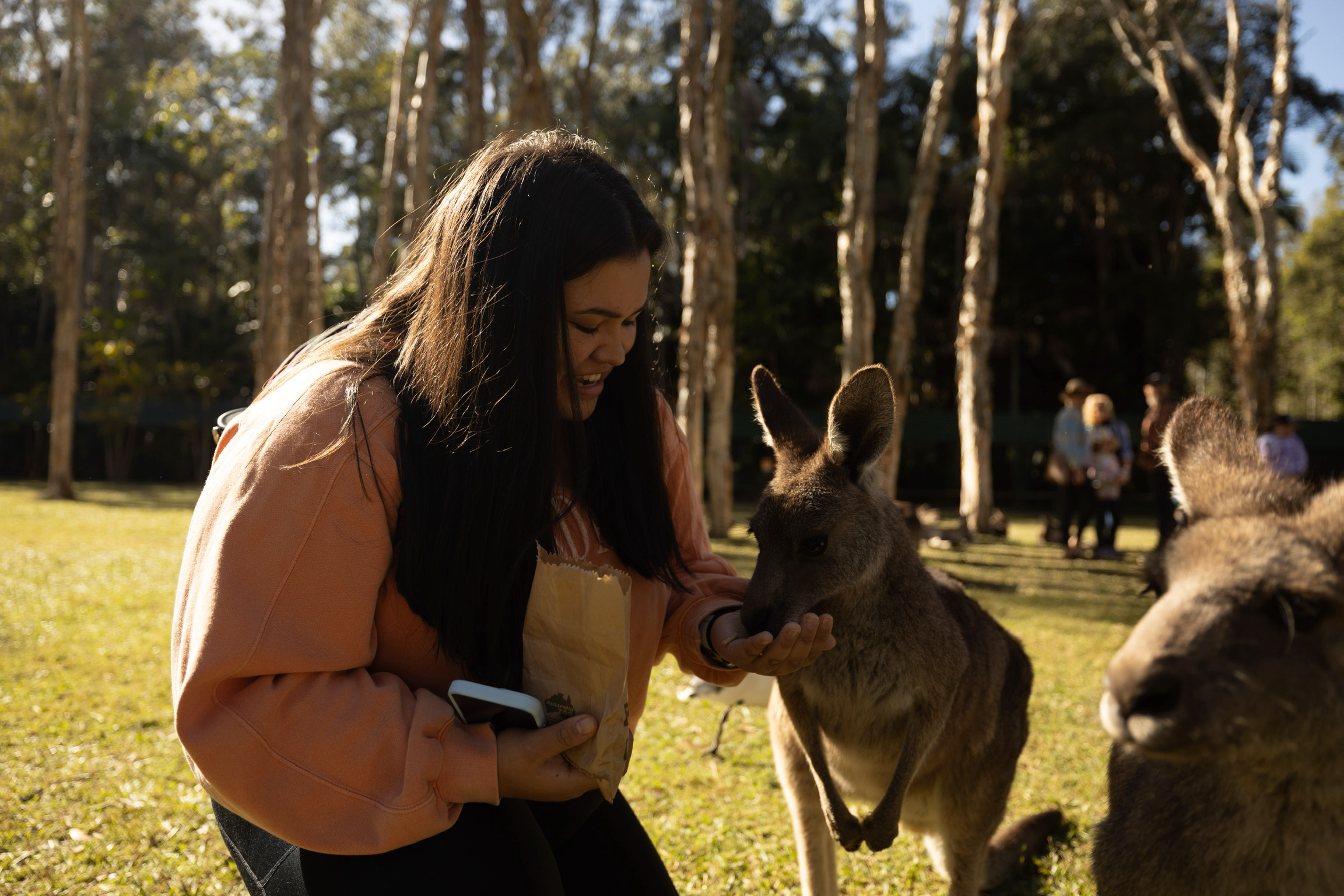 Feeding the kangaroos at the Australia Zoo in Beerwah, QLD