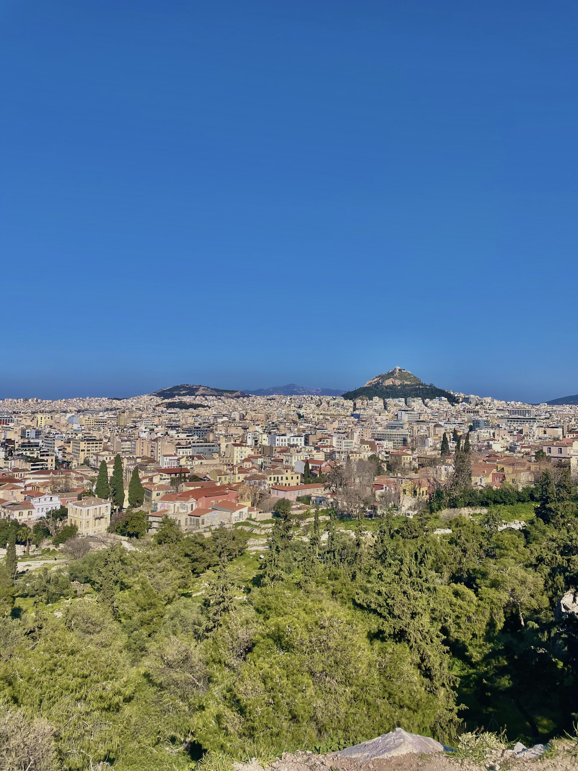 View from walking trails surrounding the Acropolis (right near CYA!)