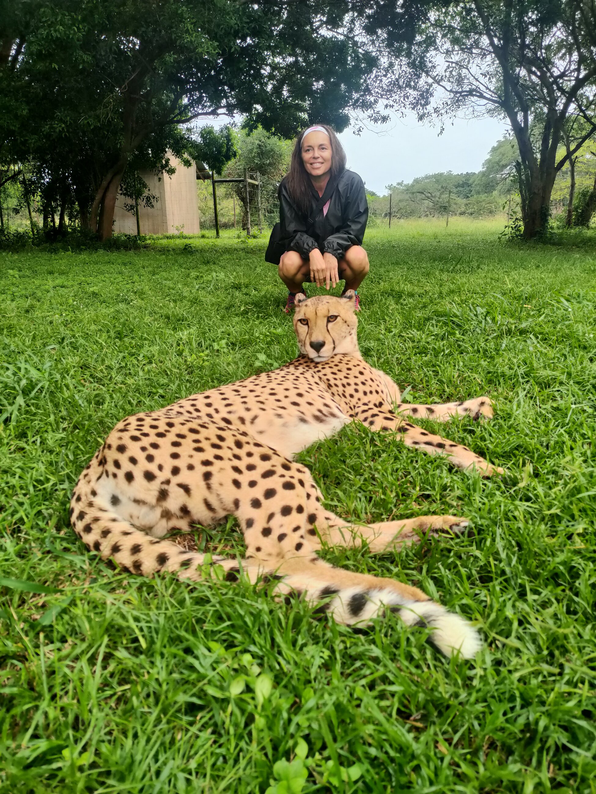 Cheetah and I