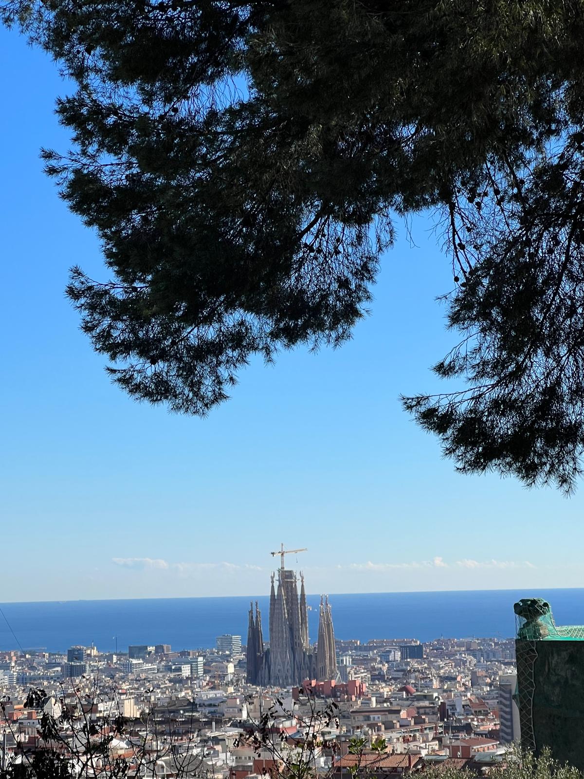 The beauty of Barcelona from Parc Guell