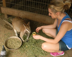 A kangaroo and Kate