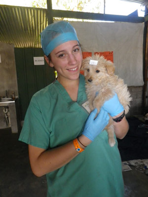 Veterinary volunteer in Guatemala