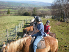 API students going horseback riding