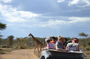 SFS Kenya/Tanzania students on a safari