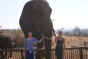ISV Volunteers exploring South African wildlife 