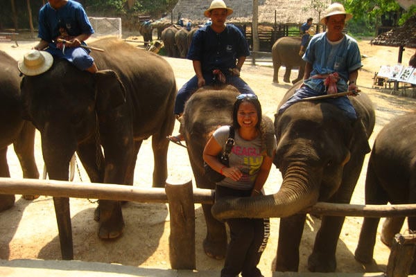 Vanna with some elephants in Bangkok