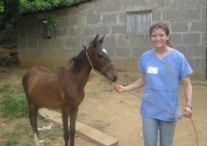 Volunteer with animals in Costa Rica