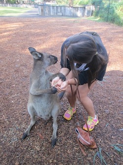 Maya feeding a kangaroo in Australia! 
