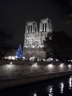 View of the Notre Dame Cathedral at Night