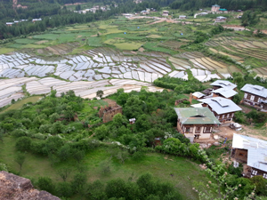 bhutan fields