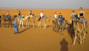 Volunteer in Morocco and take a camel ride