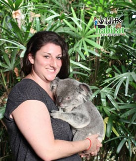 holding a koala