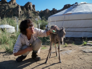 Volunteering with Earthwatch in Mongolia