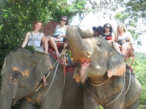 students riding elephants in australia