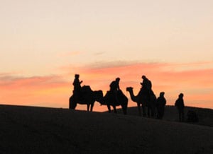 Sahara at dawn