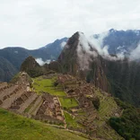 Peru Jungle Conservation Projects