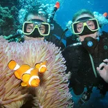 Two marine volunteer divers surveying the Great Barrier Reef