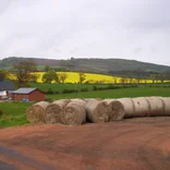 farm in scotland