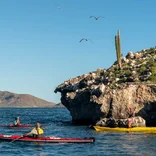 Students observe wildlife above the shores of Baja California Sur.