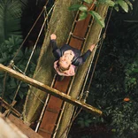 student on a canopy rope bridge