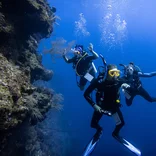 Students diving in an ocean trench
