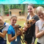 Animal Care Volunteer Program in Jamaica - St Mary