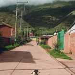 Animal Care Volunteer Program in Lima - Peru