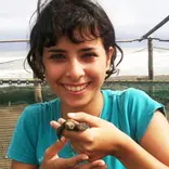 Turtle conservation volunteer in Costa Rica