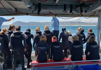 A+ World Academy Students shark diving in Cape Town