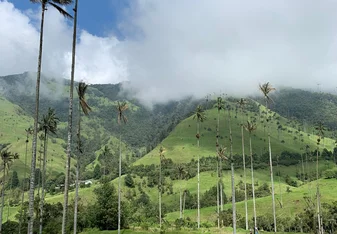 Colombia excursion