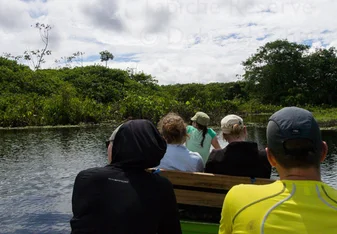Guiding eco-tour to nesting area of Agami Herons, Tapiche Reserve