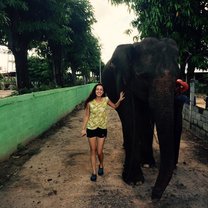 Walking the Elephants