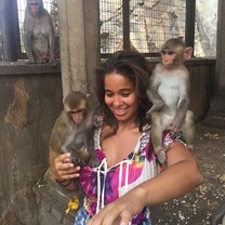 monkey temple, banana, feed, monkeys