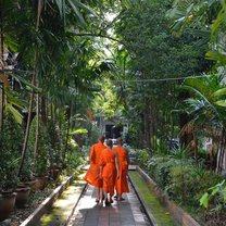 Novice Monks in Training