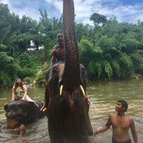 Students Embraces Thrill from Thailand Elephant Sanctuary 