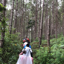 Walking through the forest with indigenous local people.