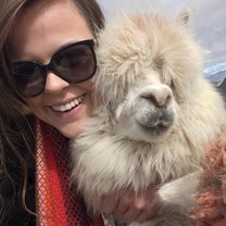 Llama selfie!