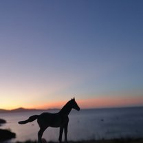 Horse by the sea (plastic) 