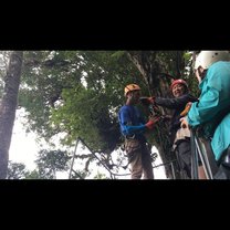 Ziplining in Monte Verde (the longest course in Latin America)