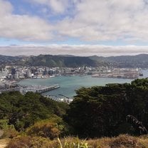 Wellington from Mt Vic