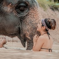 Meeting elephants at their home.