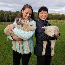 On a program trip to Chiloé we were able to explore many facets of the rural Chilean landscape and society- and hold the cutest newborn sheep!