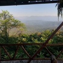 Tamandua Jungle reserve view