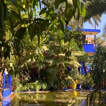 Moroccan garden with pool, blue buildings, and lush vegetation 
