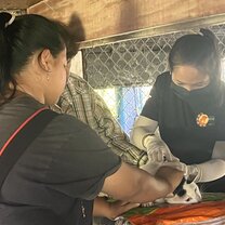 Working in the community - vaccination program 