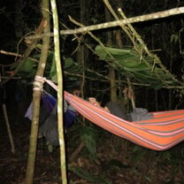 Sleeping in the jungle