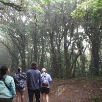 Walking through the Monteverde Cloud Forest Reserve