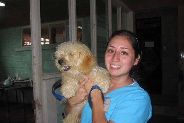 Veterinary volunteer holding a dog